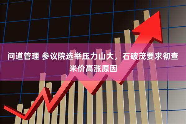 问道管理 参议院选举压力山大，石破茂要求彻查米价高涨原因