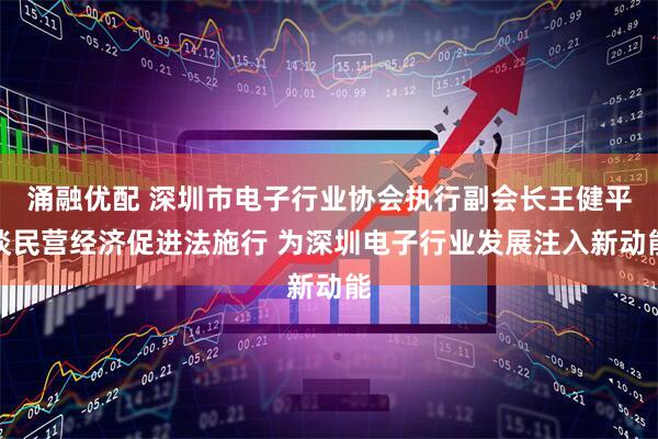 涌融优配 深圳市电子行业协会执行副会长王健平谈民营经济促进法施行 为深圳电子行业发展注入新动能