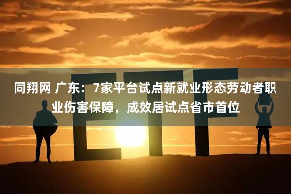 同翔网 广东：7家平台试点新就业形态劳动者职业伤害保障，成效居试点省市首位