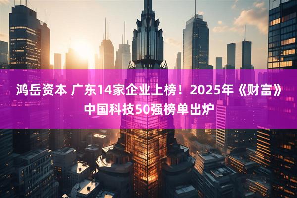鸿岳资本 广东14家企业上榜!2025年《财富》中国科技50强榜单出炉